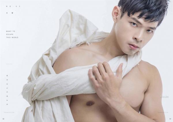 WHOSEMAN-NO.63-EbookVideo